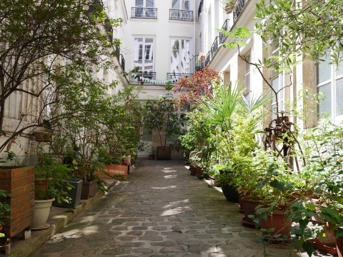 P20300534930 (10).jpg