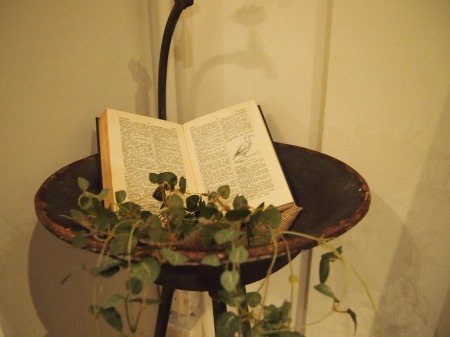 P21523460549 (8).jpg