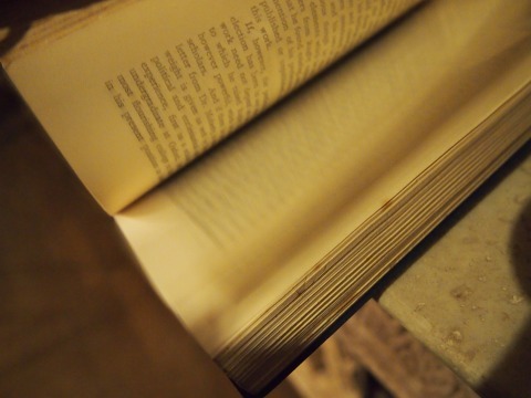 P3180131987 (7).jpg