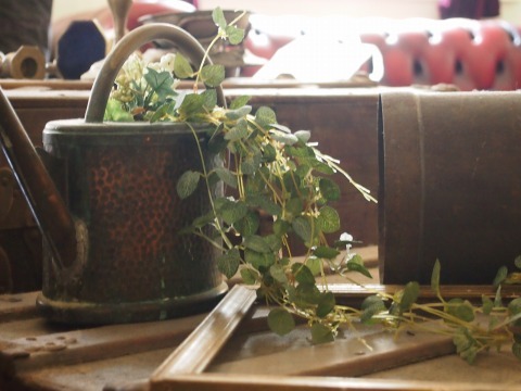 P4143449934 (3).jpg