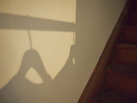 P4295481875 (9).jpg