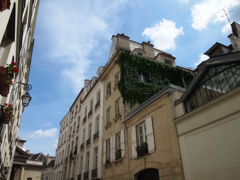 P7010160987 (9).jpg