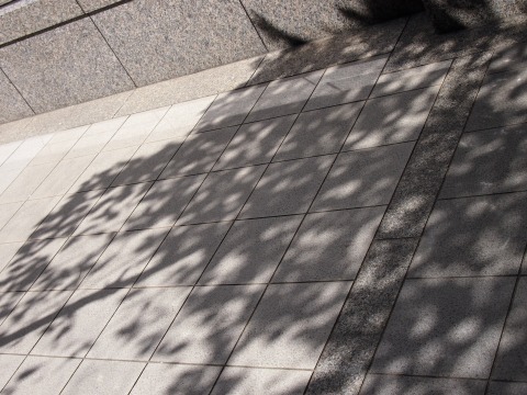 PA040946843 (5).jpg
